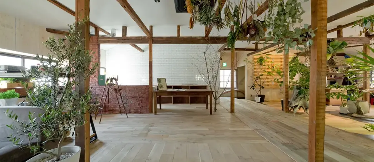 植物が飾られたFun Space Dinerの明るい一角